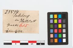 Etikett zu Bronzebrillenfibel (NHMW-PRAE-025574)